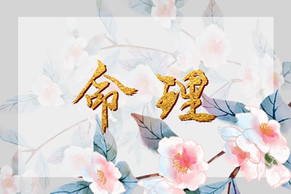 万年历2026年日历 今日万年历老黄历 万年历完整版